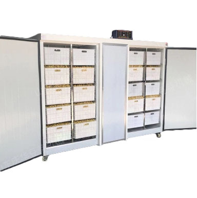 Проращиватель семян