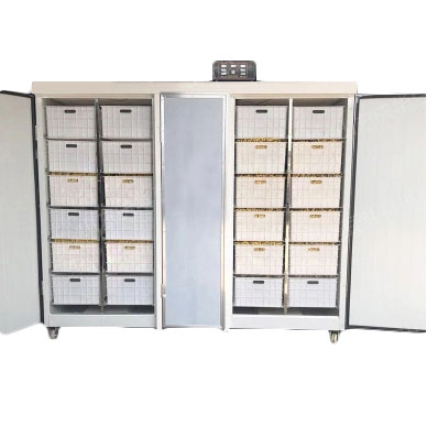 Проращиватель семян