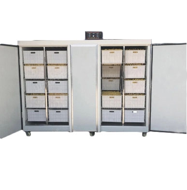 Проращиватель семян