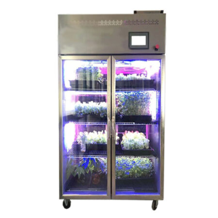 Умная теплица Гроубокс (микрозелень