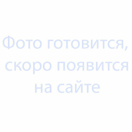 Шестерня для блинного аппарата РК-2.1 универсального типа